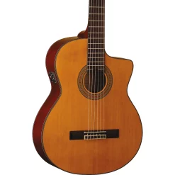 Outlet ✨ Washburn Washburn C64SCE-A Classical Acoustic-Electric Guitar 😉