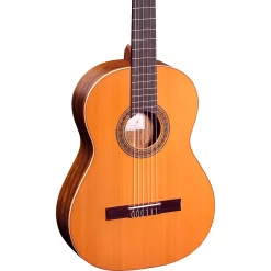 Flash Sale 🎉 Ortega Ortega Traditional Series R220 Classical Guitar Gloss Natural 4/4 ✔️