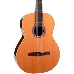 Coupon ⭐ Godin Godin Collection Acoustic Nylon-String Guitar Natural 😀