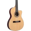 Buy 💯 Ibanez Ibanez GA Series GA34STCE Thinline Solid Top Classical Acoustic-Electric Guitar Natural 💯